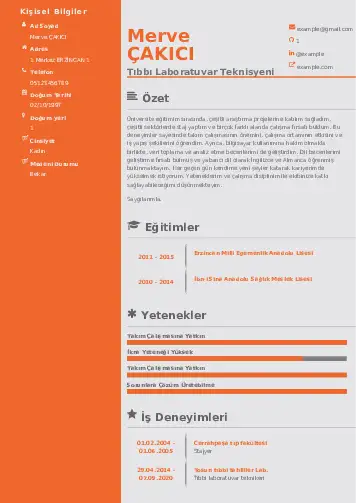 Laboratuvar Teknisyeni Cv Örnekleri cv indir